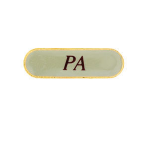 PA Silver pin