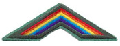 Junior Bridging Patch